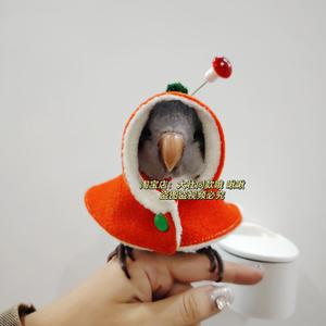 망토 의류 보온 머쉬룸 무늬 격자 사이즈 귀여운 오렌지 가정용 호피 버섯 겨울 앵무새