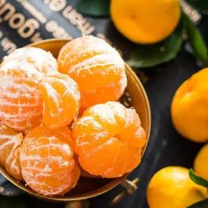 제주감귤 5KG 하우스 노지 타이벡 밀감 가정용 귤