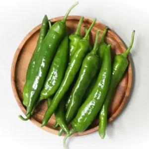 농산물마루 오이고추 오이맛 아삭이