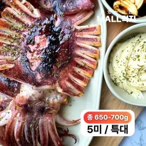 [국내원양]짜지않고 촉촉한 몰먹지 반건조오징어 특대 5미- 구룡포 해풍 최상급 피데기(총650-700g)