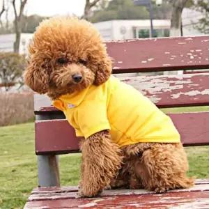 강아지 여름옷 강아지외출복 강아지실내복 (WFG1N13)