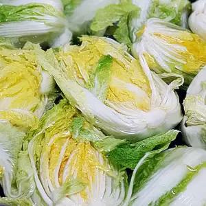 우리네 해남 신안 천일염 절임배추