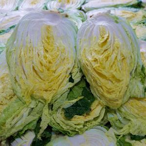 안종옥님의 해남 절임배추 10kg