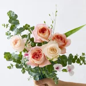 메이커 장미꽃 생화 한다발 촌스럽지 않은 꽃다발 선물용 꽃 보존제 증정 특상품