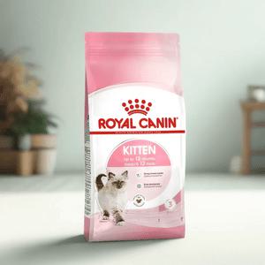 로얄캐닌 키튼 1.2kg 새끼 아기 고양이 사료