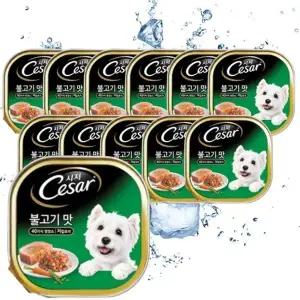 [시저] 시저 불고기맛 100g X 12개입