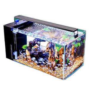 구피어항 새우키우기 세트 무환수 미니 물고기 열대어