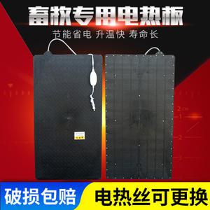 축사 전기 장판 돈사 출산용 플라스틱 50x90 단열 새끼 보온 패드 열판 대형견 스위치