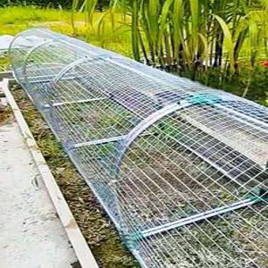 닭터널 닭장 사육장 야외 조립식 양계장 2/3/4m