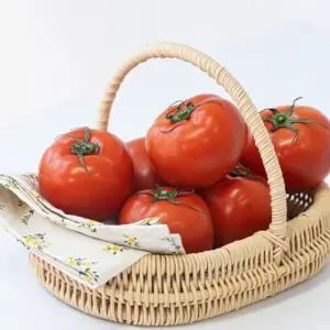 국내산 탱글탱글 완숙찰 토마토 5kg(M-2S과)