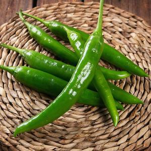 국내산 적당한 맵기 아삭이 풋고추 500g