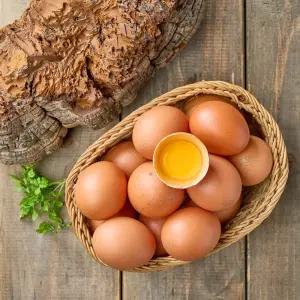 난각1번 자연방사 상황버섯 먹여 키운 무항생제 유정란 달걀 60구