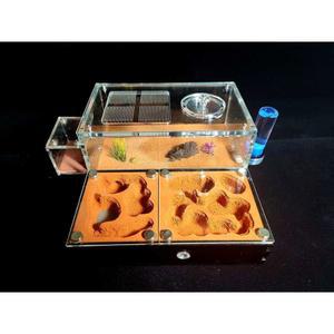 개미사육장 개미집 50X30X30cm 새집 대형 기본형 곤충 콘크리트 놀이터 날림장