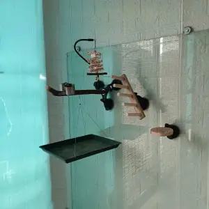 앵무새 놀이터 창문 횟대 부착 흡착 빨판 장난감 유리 횃대 나무 원목