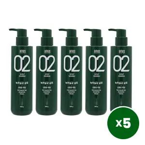 아모스 녹차실감 샴푸 지성 두피용 500g 5개