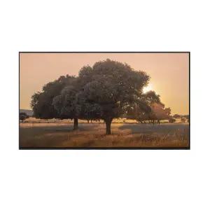 하랑 LG전자 86QNED85AKA 벽걸이형 QNED evo 4K TV