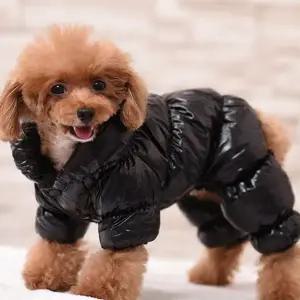 강아지 외투 방한복 목폴라 반려견 강아지 패딩 겨울 올인원 방수 멜빵 점프 우비 슈트
