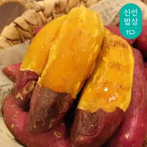 [과일꾼] 25년 수확 호풍미 황토 꿀 호박고구마 10kg 대 비세척