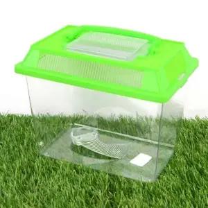 [골드스마일]사슴벌레 용기 달팽이 채집용통 생물 관찰 중형 채집