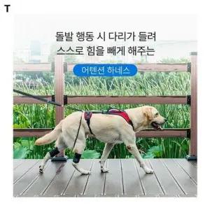 애견아나프니 어텐션하네스 WFKXQ0W