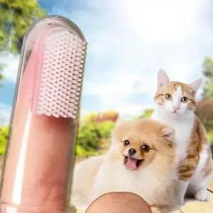 강아지 고양이 손가락 칫솔 1팩(5개) W29EE91