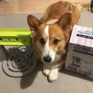 큐티펫 QTPET 슬로우피더 지능개발 장난감 노즈워크 W2AB522