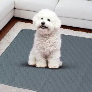 배변패드 강아지화장실 강아지패드 (WFG28PU)