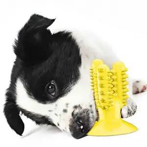 애견 뼈다귀 강아지교육 강아지토이 강아지이빨 (WFG1NSW)