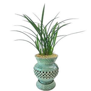 [젠틀맨플라워]철골소심투각분 [e,10014] [동양란/동양난/서양란/서양난/승진/인사이동/확장/취임/축하