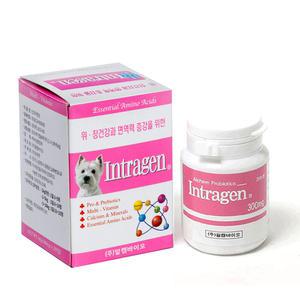 알켐 인트라젠 200정 애완동물 장면역 강아지 영양제