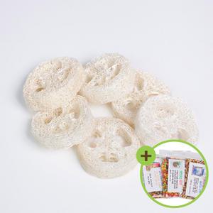 천연 수세미 6개입 앵무새 장난감 스트레스해소 애완조 천연 수세미 장난감