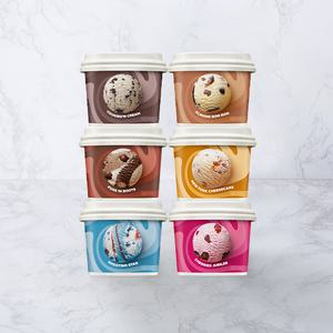 배스킨라빈스  블록팩 (170ml) 6개 SET