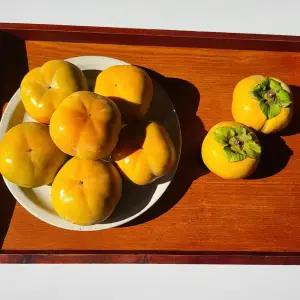 때깔찬 달콤아삭 감 단감 차랑/부유 4kg내외 (35과내외) 랜덤발송