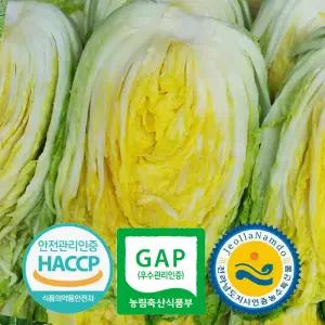 예약배송 3개 인증 GAP HACCP 전남도지사인증 직접 기른 해남 절임 배추 20kg 국내산 천일염 7-10포기 절인 TB