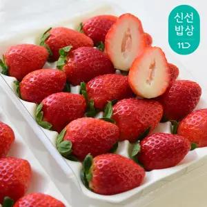 [과일꾼] 안전 난좌포장 논산 설향딸기 특품 700g 20-30구