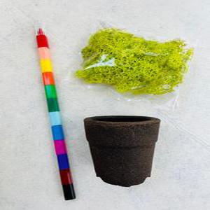 커피박화분 스칸디아모스 만들기 DIY 키트 업사이클링 친환경교육