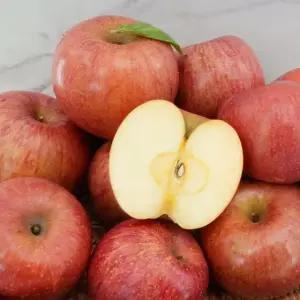 [G] 맛있는 가정용 부사 사과 10kg 중대과