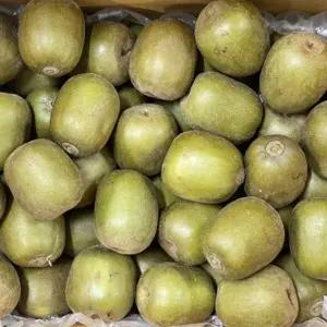 고당도 제주 레드키위 홍다래 제주키위 3kg 5kg 산지발송