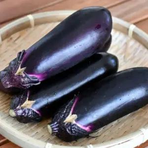 알뜰 국산 못난이 가지 10kg 생 가지 한박스 보라색채소 보라색야채 어글리채소 못난이야채