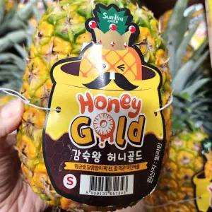 감숙왕 허니골드 황금 파인애플 10수 12kg내외