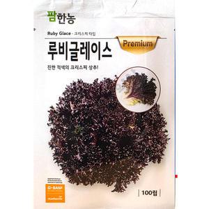 루비글레이스 100립 팜한농 25년 상추씨앗
