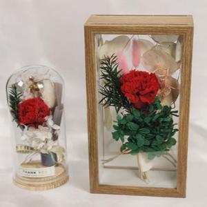 선물용 프리저브드 카네이션 유리돔형 액자형 2종