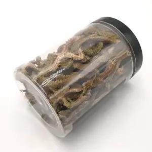 동결 건조 갯지렁이 청갯지렁이 15g 낚시미끼