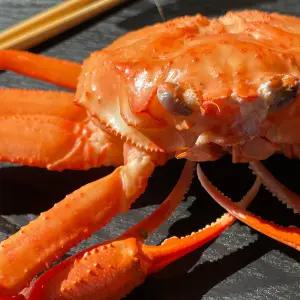 포항 구룡포 자숙 연지 홍게 3kg (6~7미) 일반용 B급 수율 70%내외