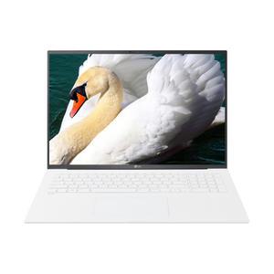 LG전자 LG그램17 17Z90S-GAOWK SSD 1TB 교체