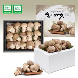 [햇살맞춤]산지직송 쫄깃쫄깃 향긋한 국내산 여주 1등급 송이고버섯 1kg 당일수확 플레이버