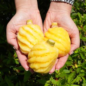 먹기 편한 고당도 미니 파인애플 푸레 1kg