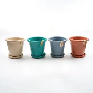 갑조네 피클레온 화분 환경친화 플라스틱프리