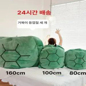 거북이 등딱지 입는 낮잠 등껍질