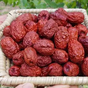 [롯데백화점]친환경팔도 보은 햇 건대추 1kg(32mm)